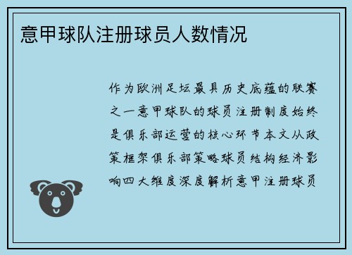 意甲球队注册球员人数情况