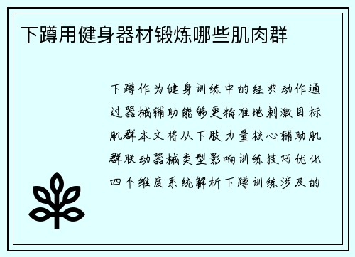 下蹲用健身器材锻炼哪些肌肉群